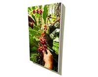 Harga Poster #Tembok Print Posters #Dinding Tempel Murah Dekorasi Gantung Cantel Hiasan Ruangan 